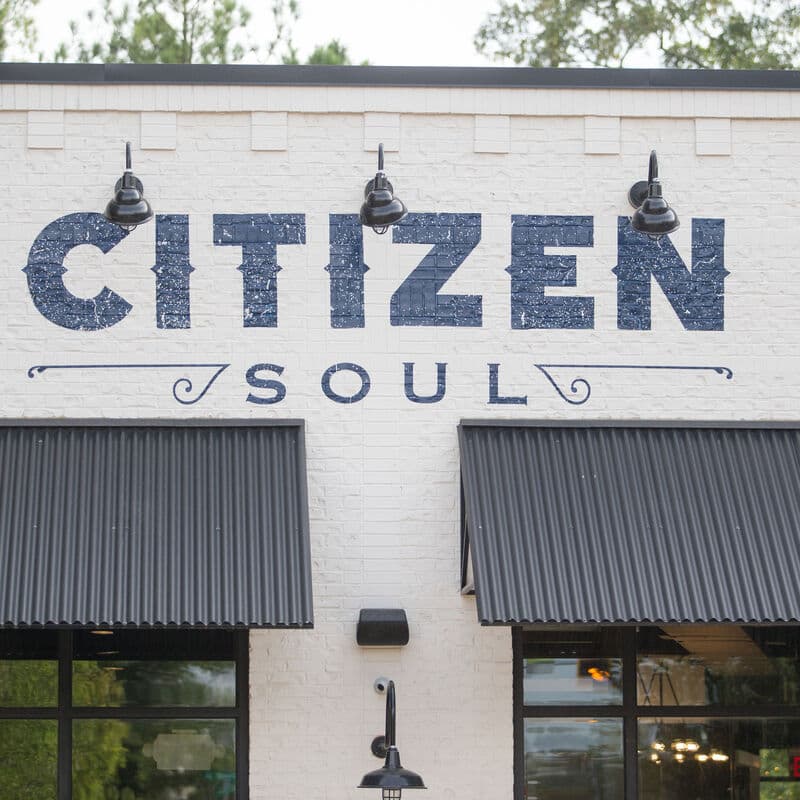 Citizen Soul