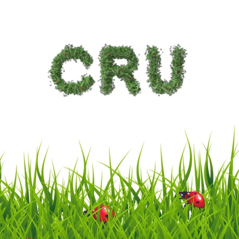 Cru Lounge Houston