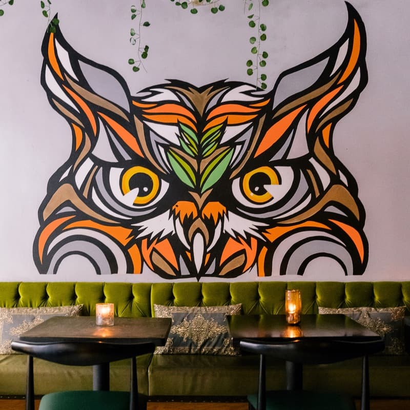 The Owl’s Tail