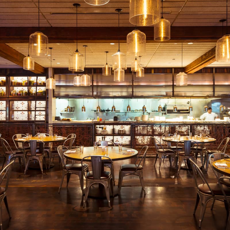 CBD Provisions