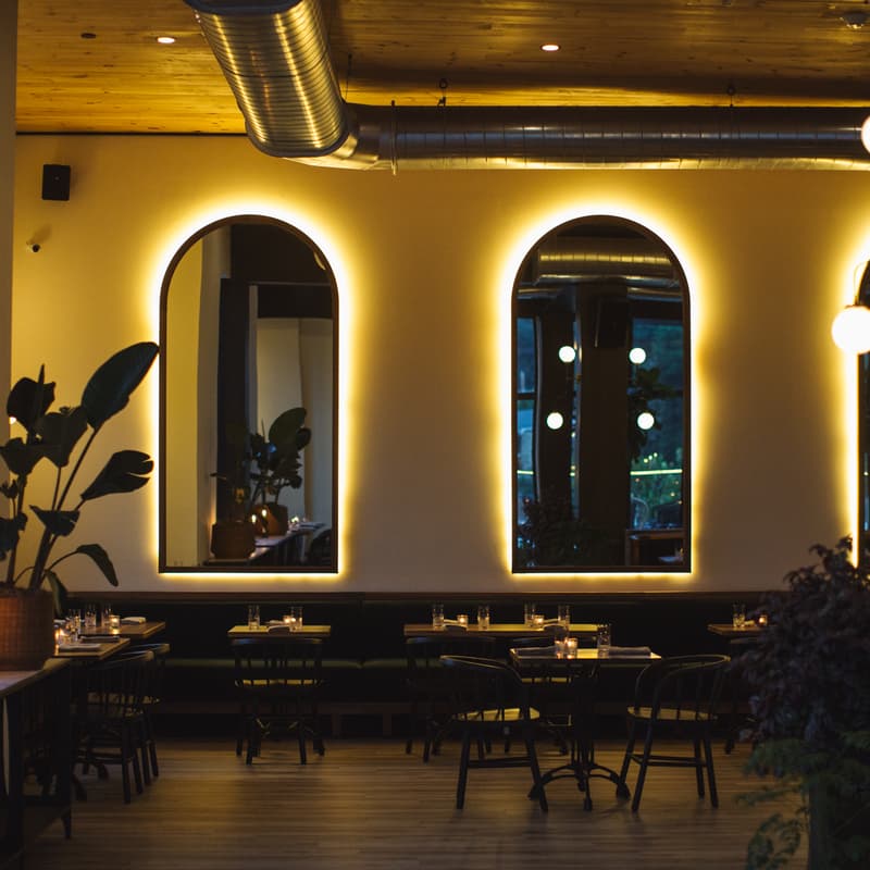 Lark - Bala Cynwyd