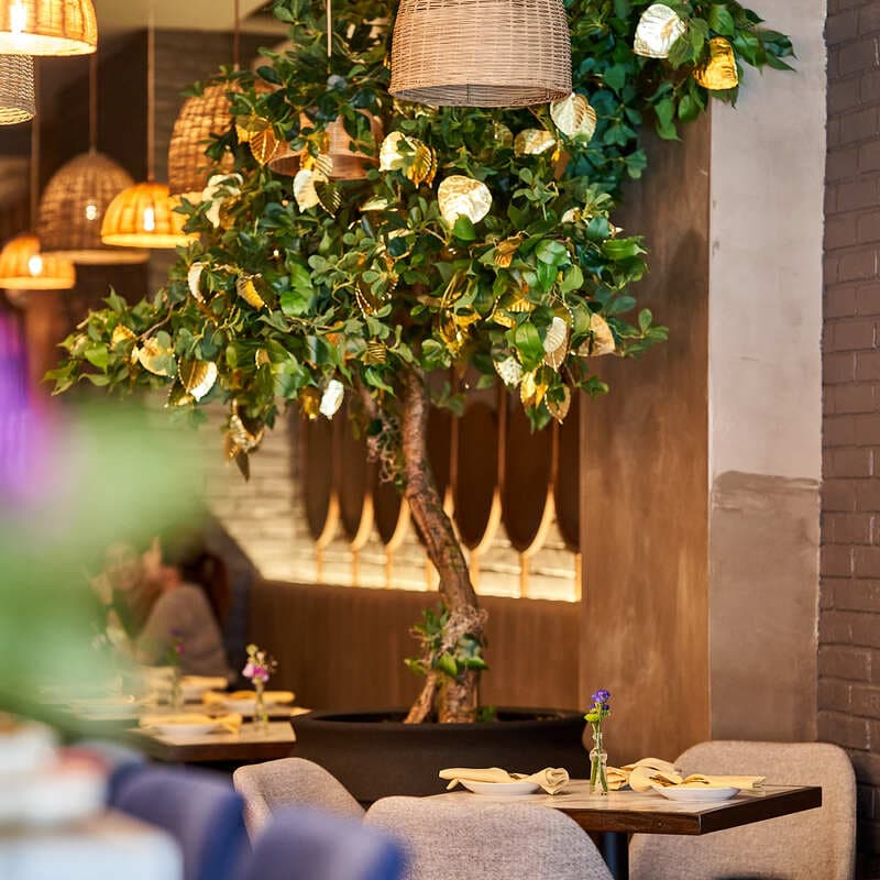 Little Thai Kitchen