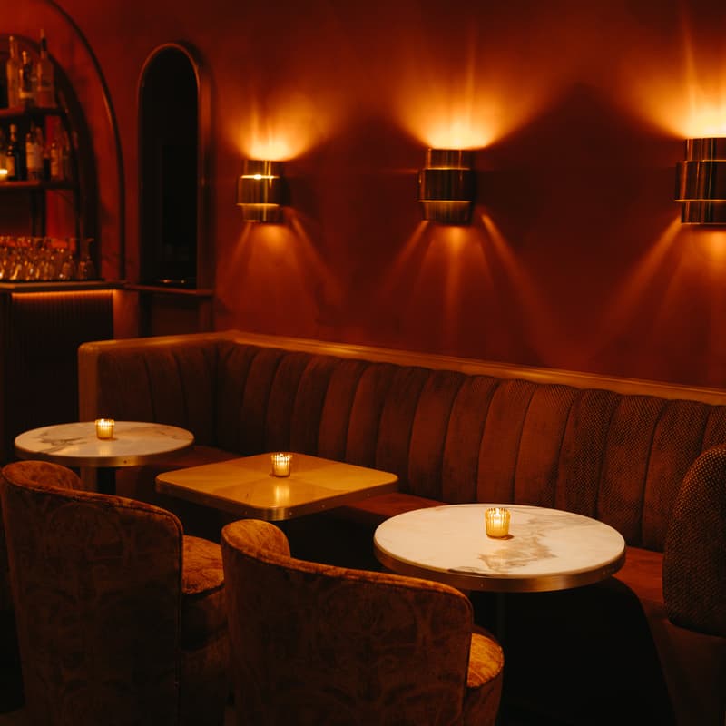 Bar Bonobo