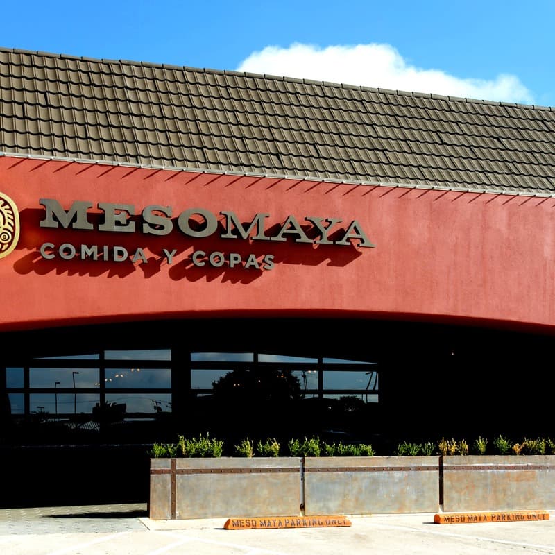 Meso Maya - Preston Forest