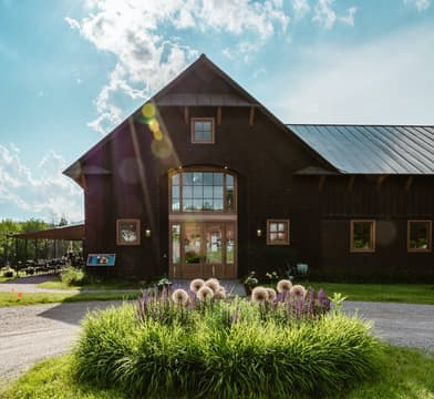 Shelburne Vineyard