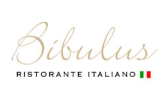 Bibulus
