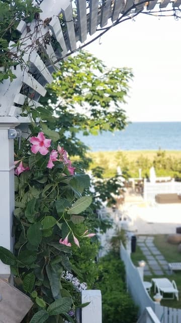 The Summer House Beachside Bistro