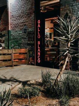 Gallo Blanco Cafe