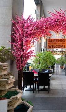 Alfeniq Restaurant & Cafe