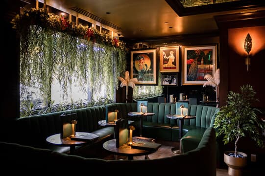 The Vine Room Naples