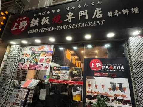 Ueno Teppan-Yaki Restaurant (Shop No 1)