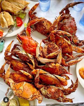 Quarterdeck