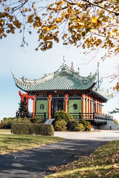 Afternoon Tea & Dining at The Chinese Tea House