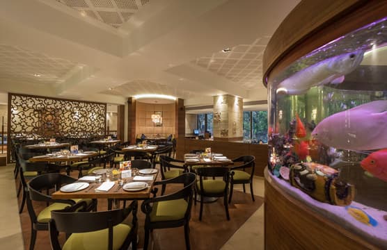 Something's Fishy - The International By Tunga