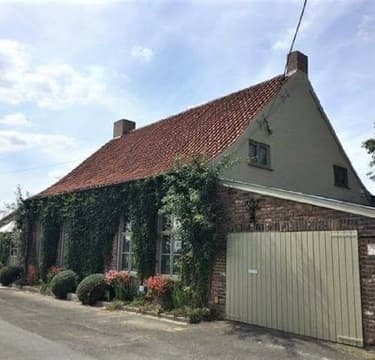 Rust Roest