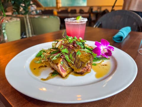 Rumba | Hampton Bays