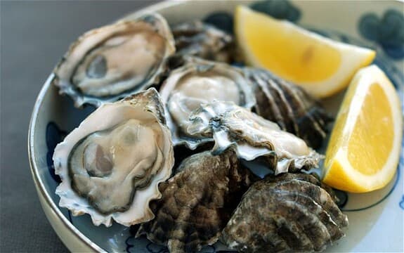 Close Harbour Seafood