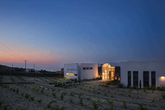 Vassaltis Vineyards