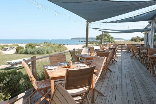 Minnow At The Galley Ho
