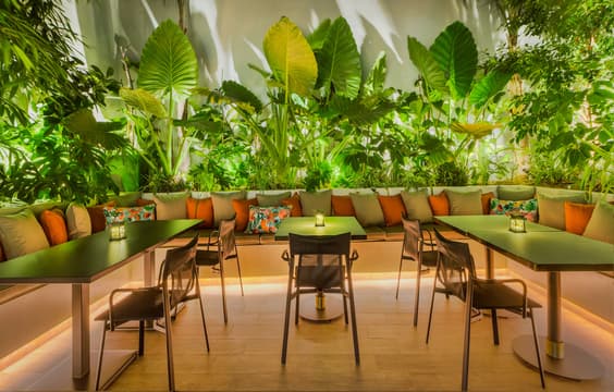 Ivis 4 Boutique Hotel & Restaurant
