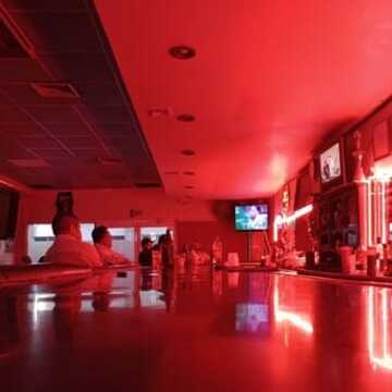 Bar Zeppelin Chihuahua