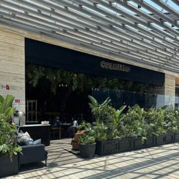 Restaurante Colmillo Artz Pedregal