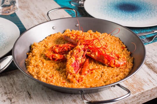 Selva Gastro Cervecería