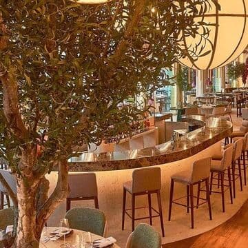 Mentor Restaurante Reforma