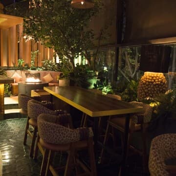 Terraza Panthera Polanco