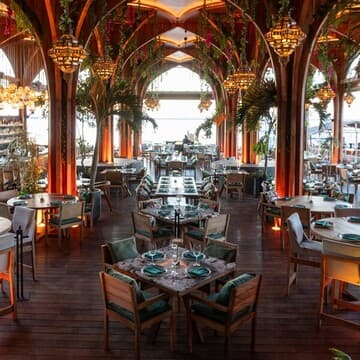 Restaurante Mono Wild Grillhouse Cancún