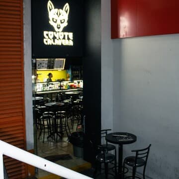 Coyote Calavera Coyoacán