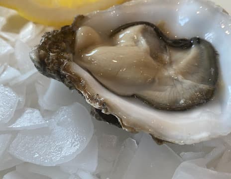 CABALLITO DE MAR