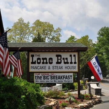 The Lone Bull