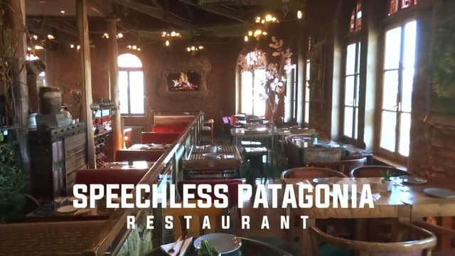 Patagonia Speechless (T)