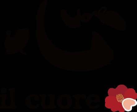 Il Cuore