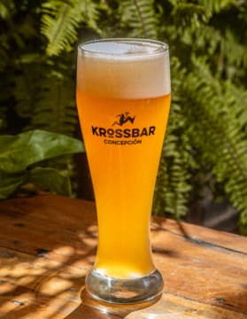 Krossbar Concepción