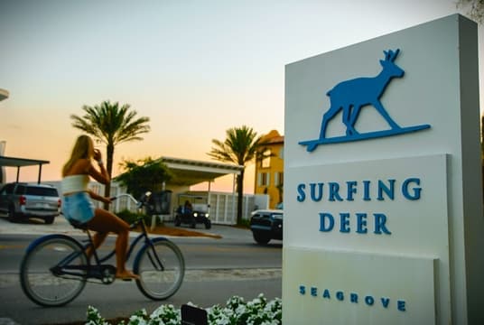 Surfing Deer