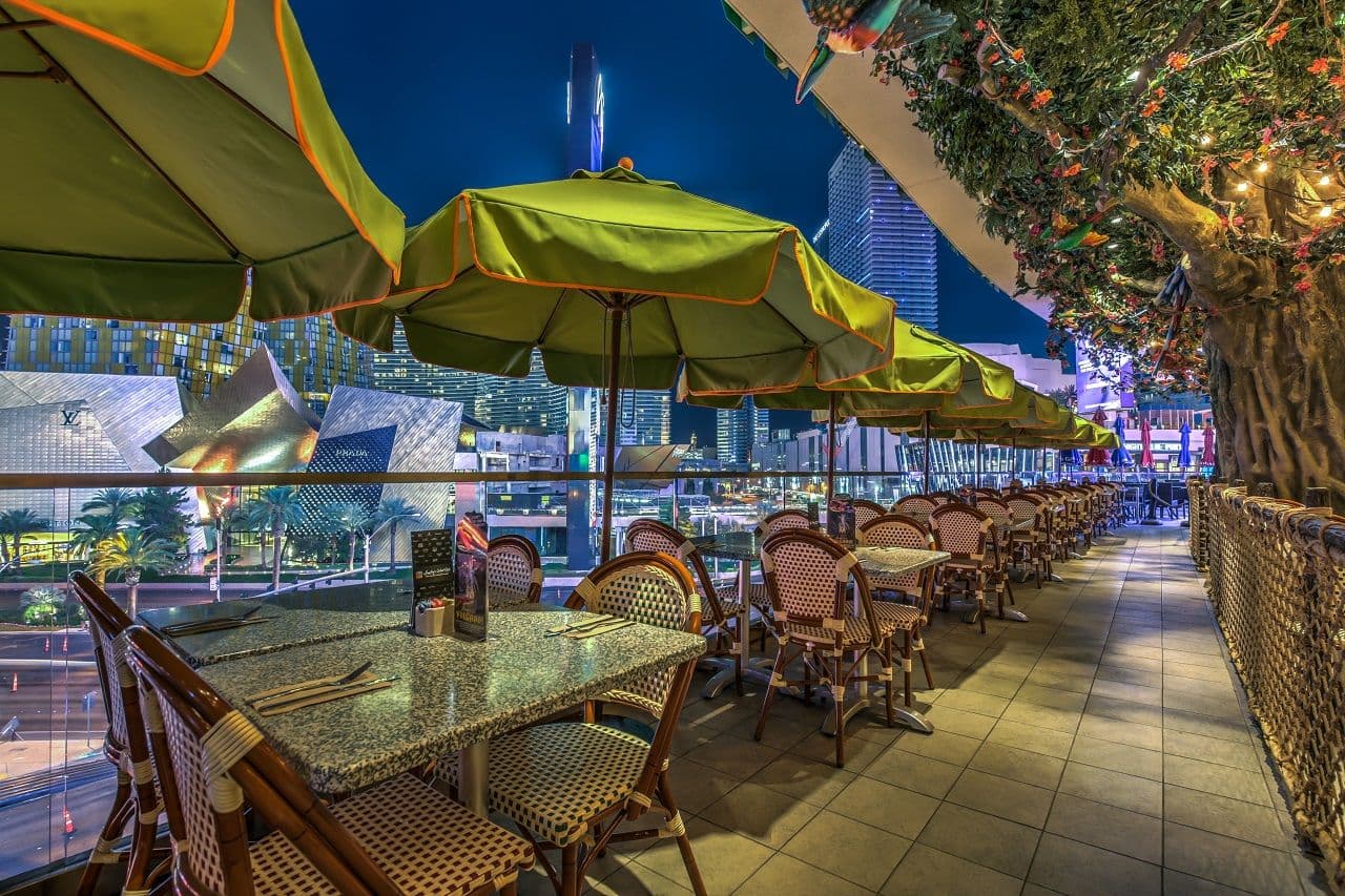 Rainforest Cafe - Las Vegas