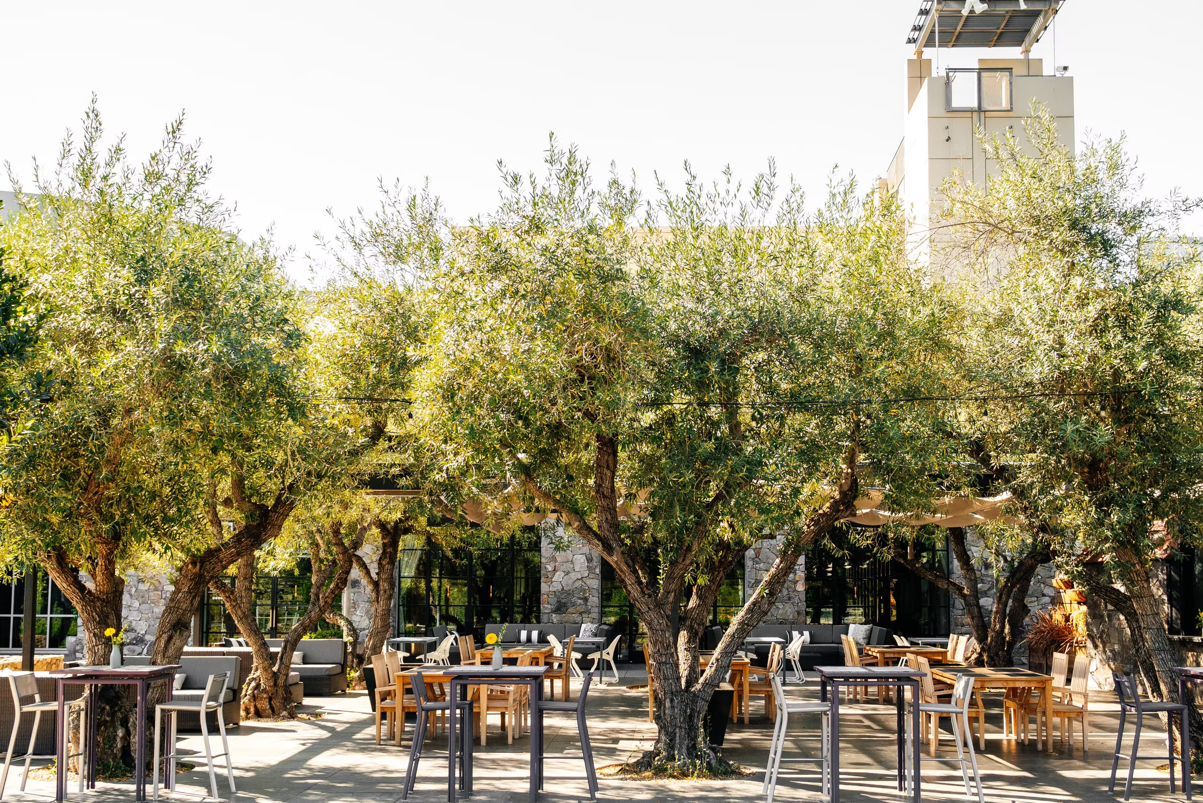 The Grove at Copia