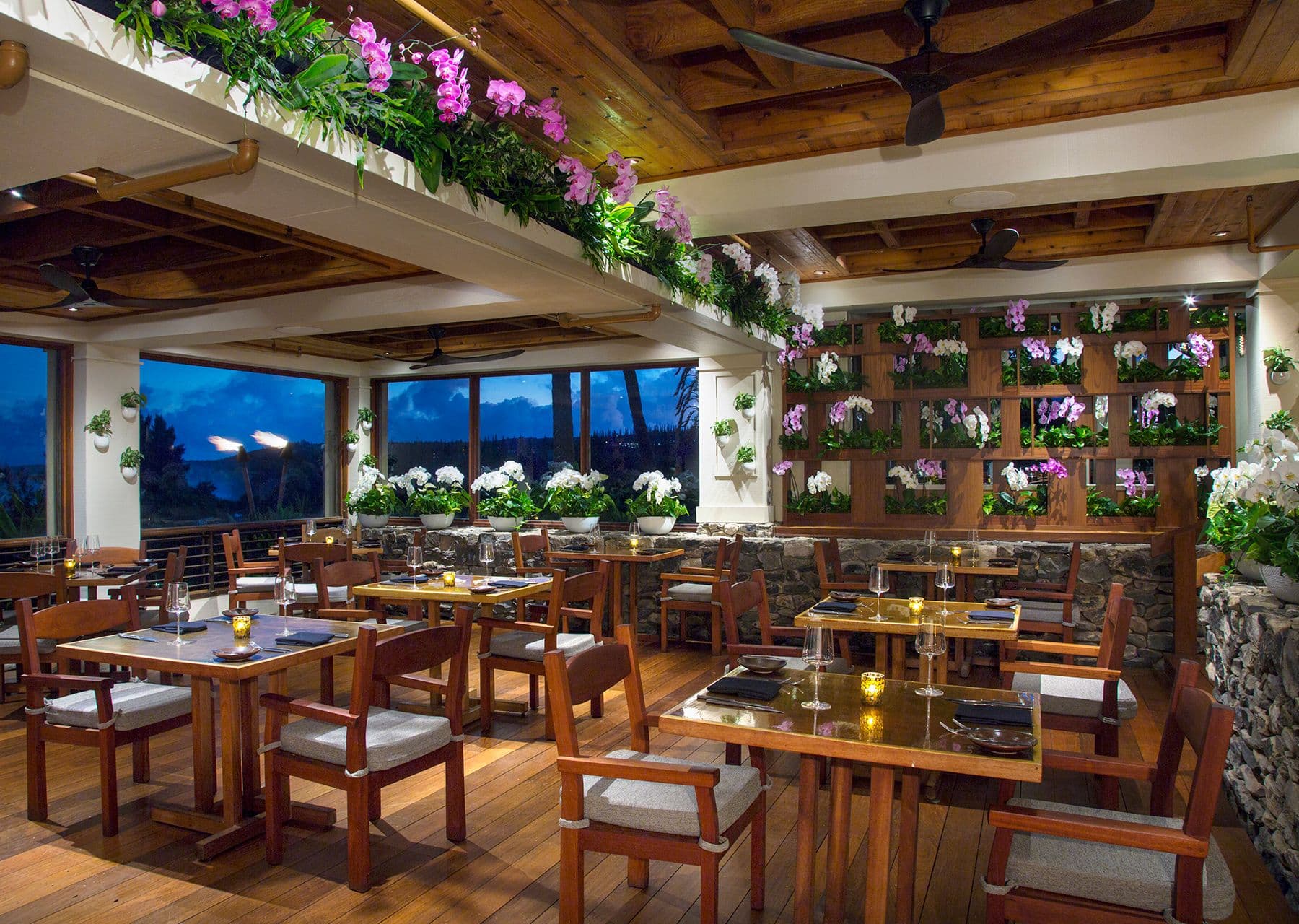 Banyan Tree