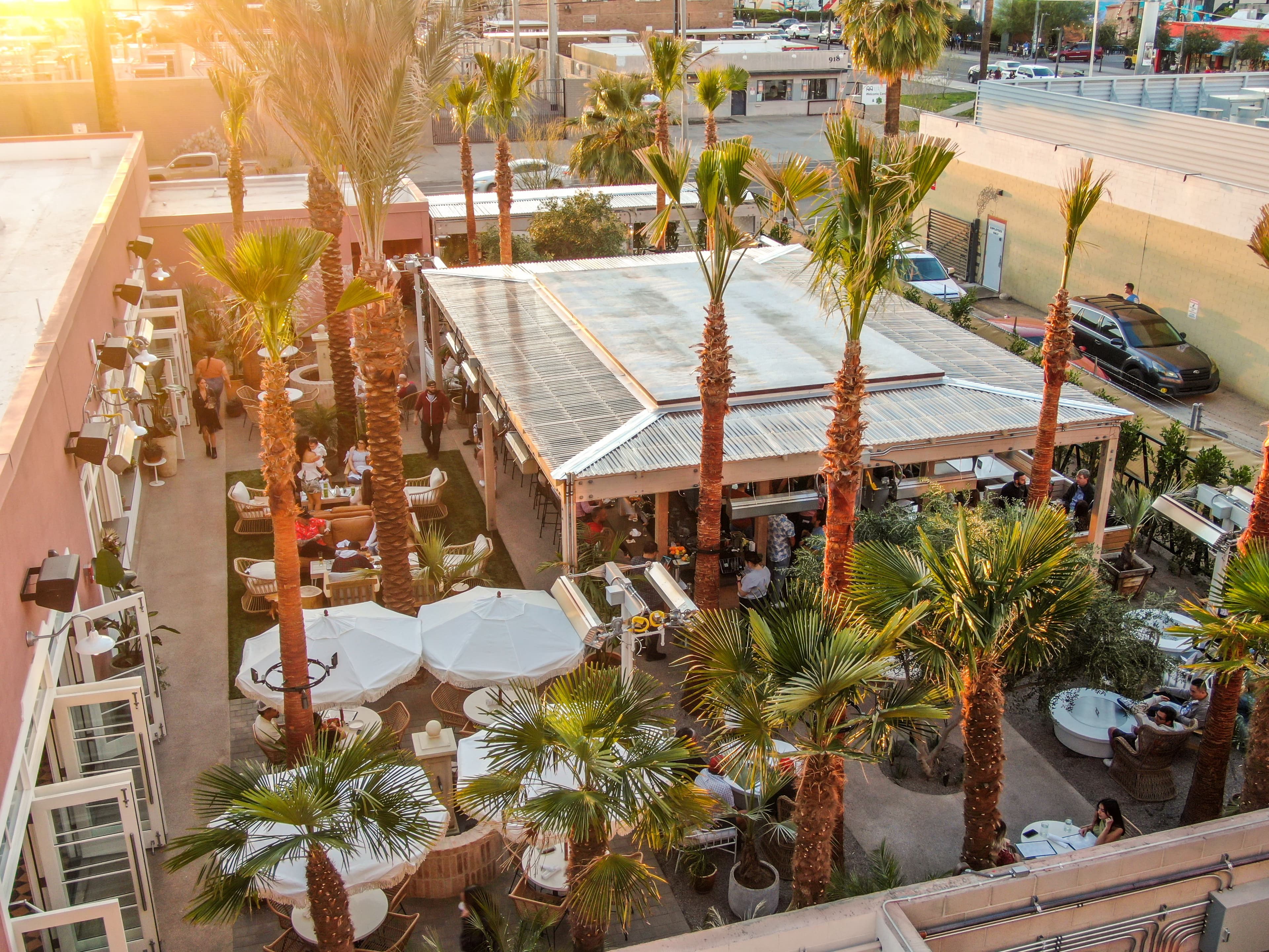 Palma - Phoenix