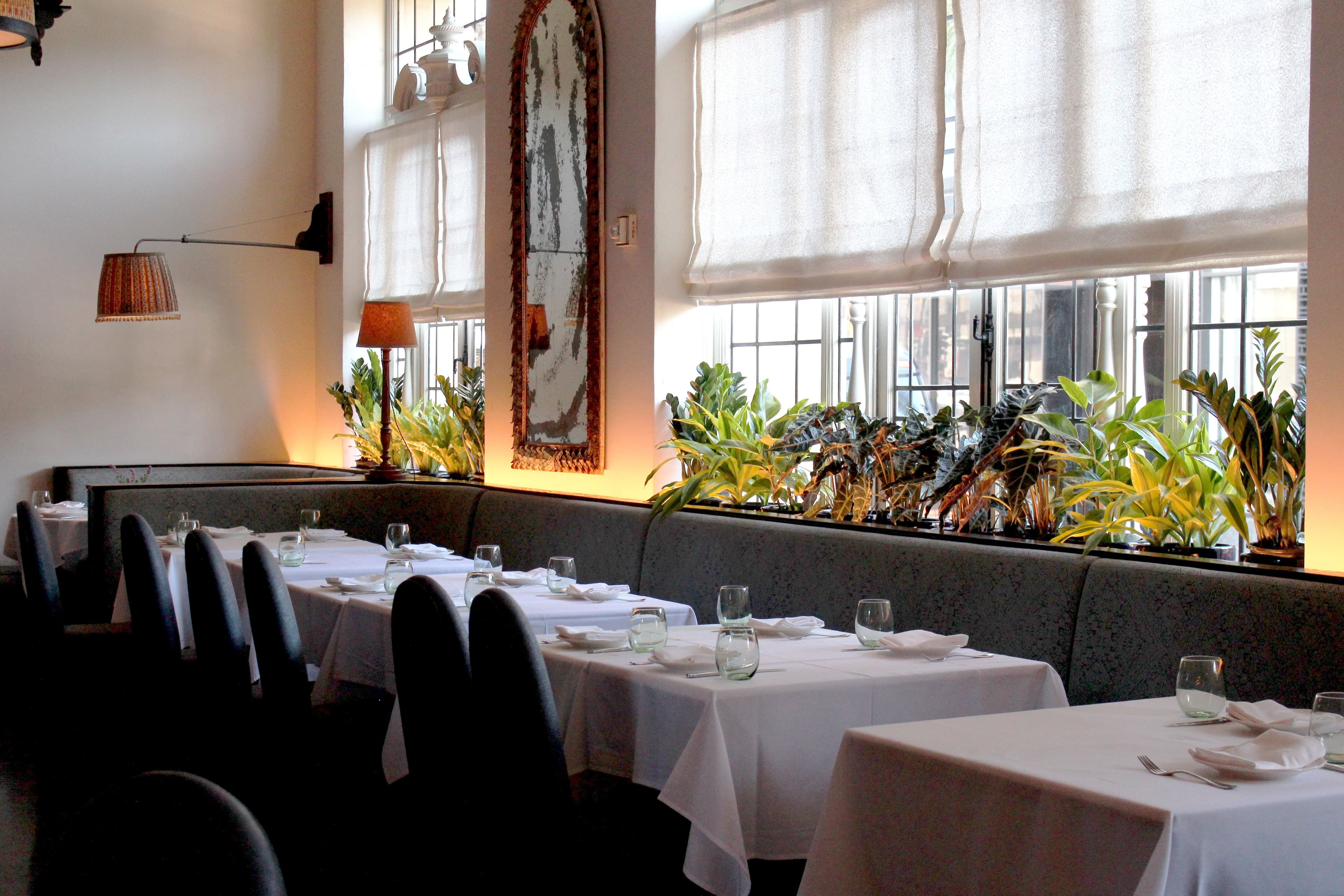 Shirley Brasserie