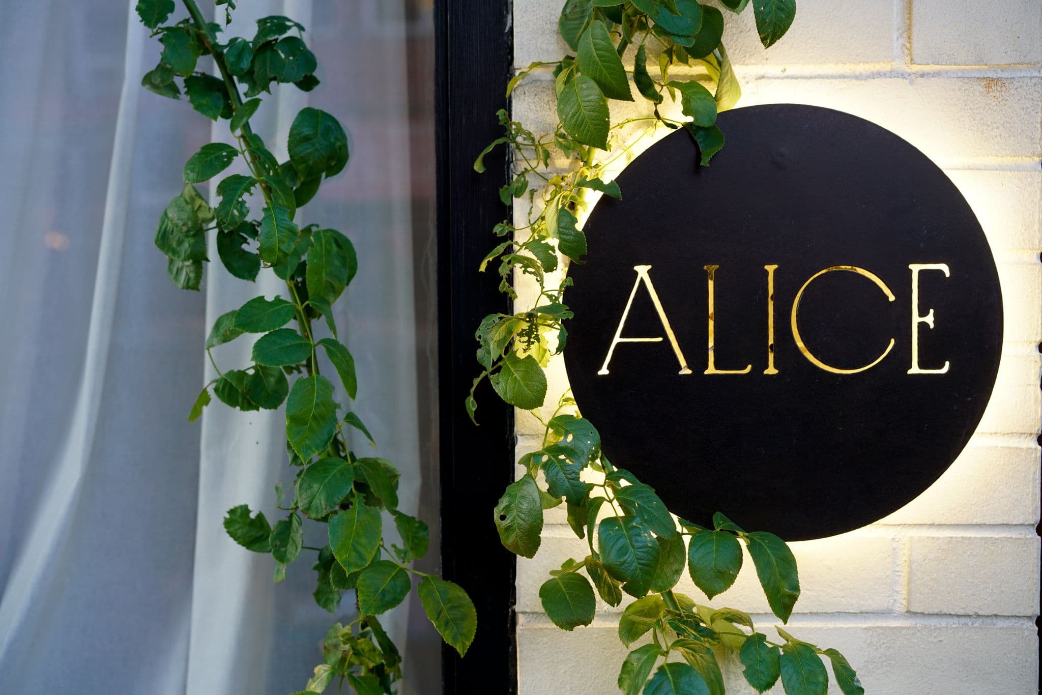 Alice