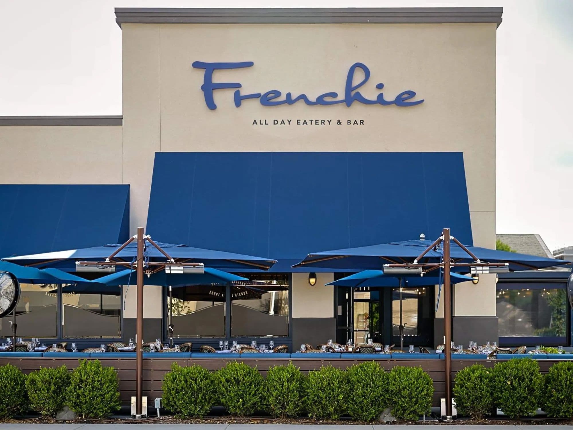 Frenchie