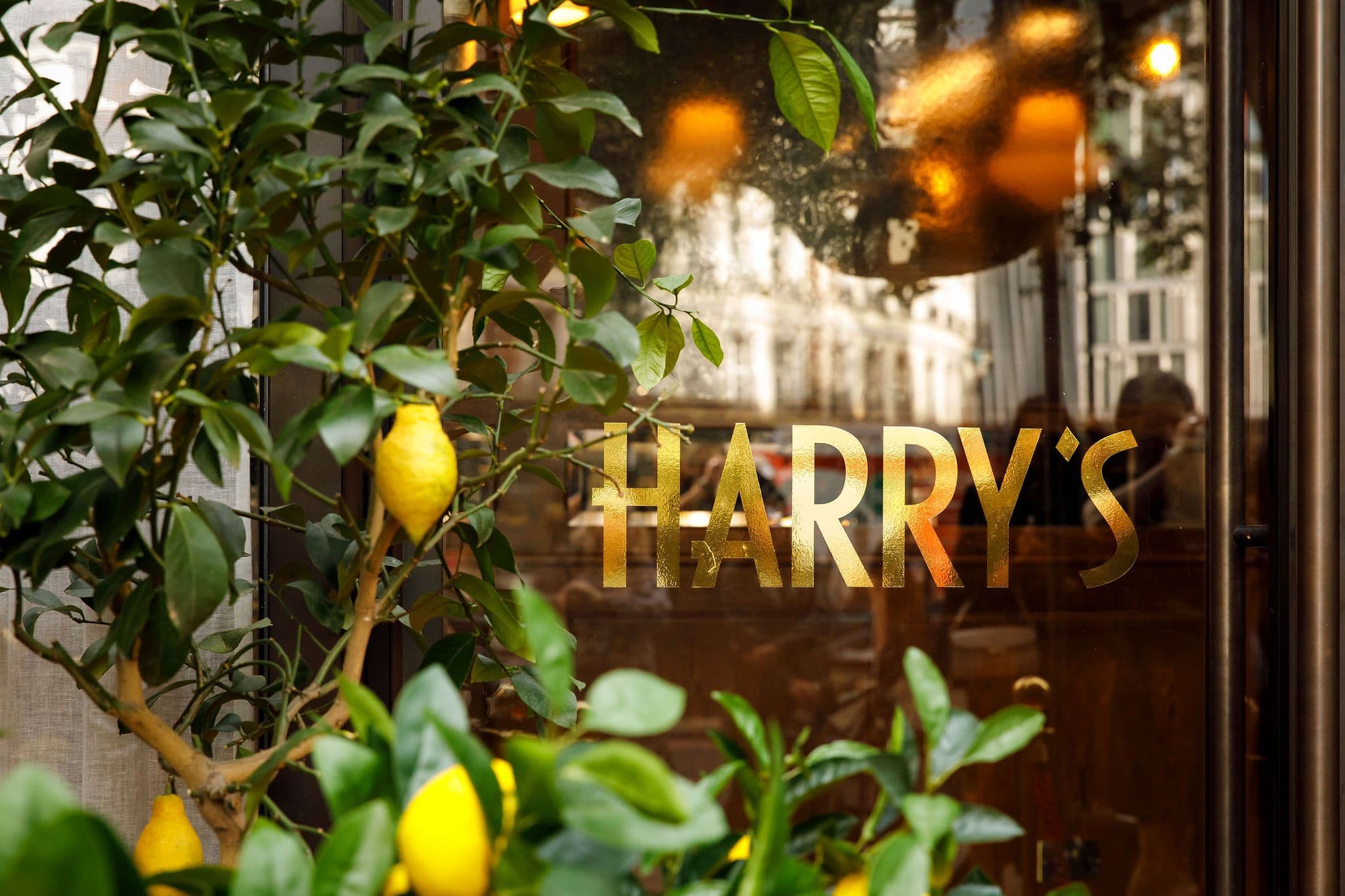 Harry’s Victoria