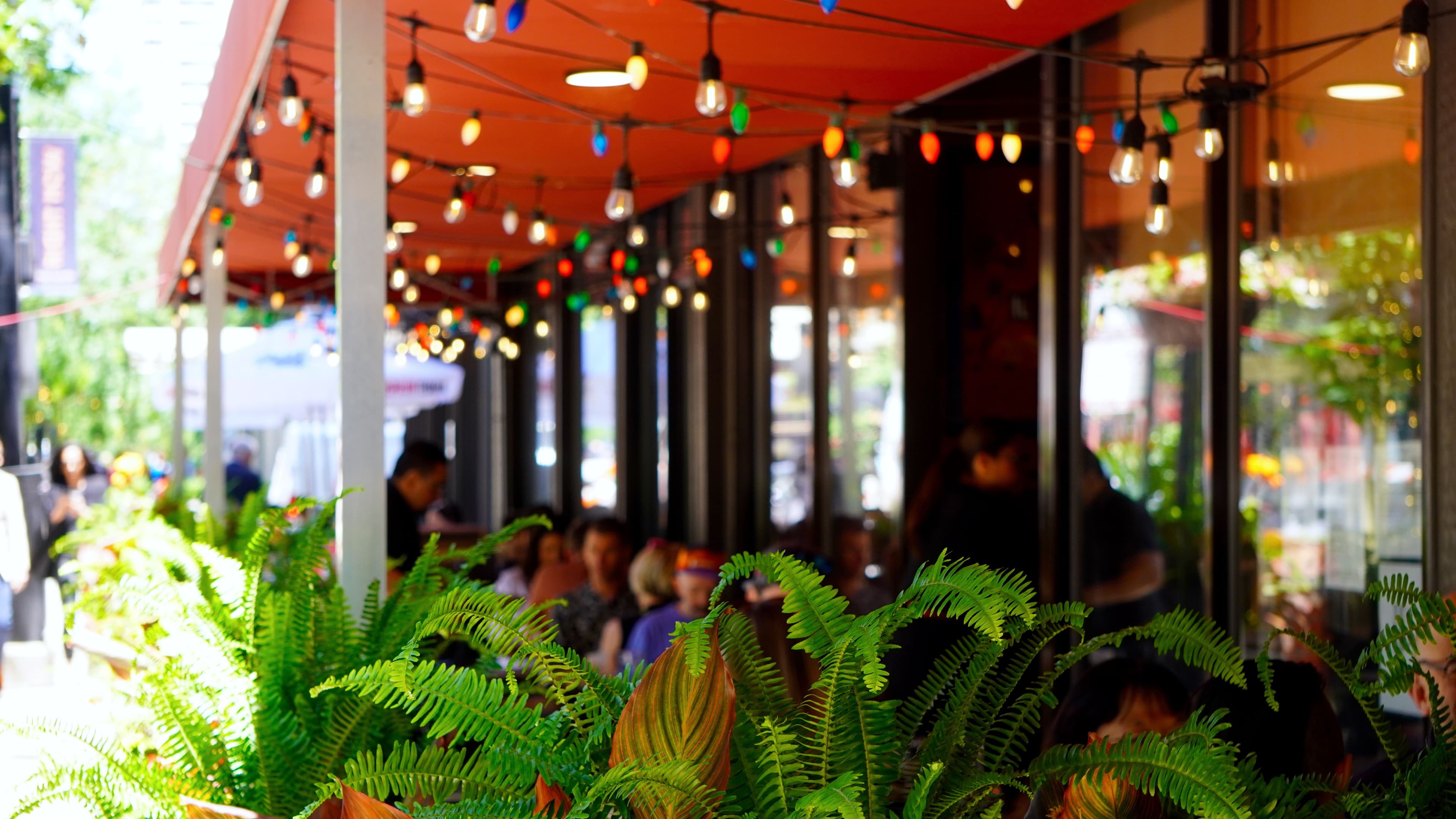Frontera Grill