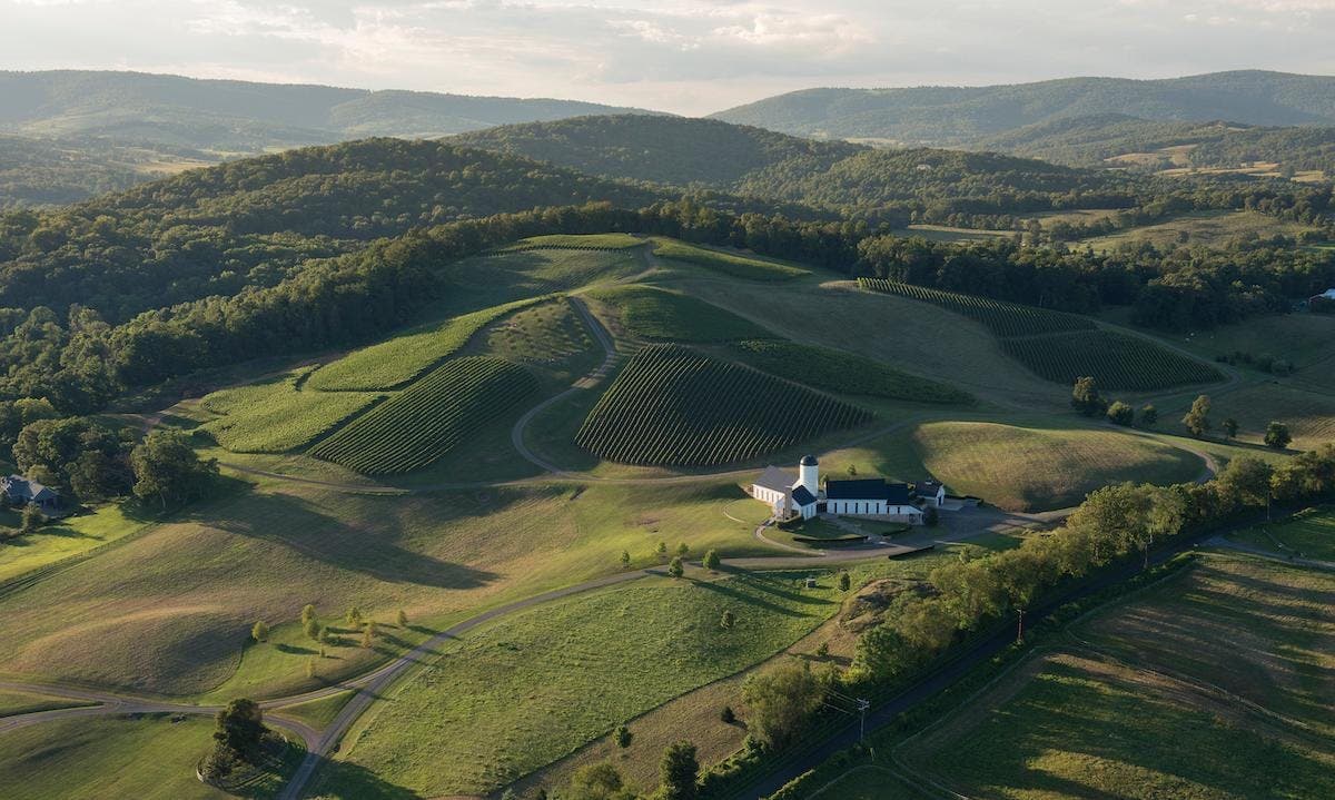 Lost Mountain Vineyards