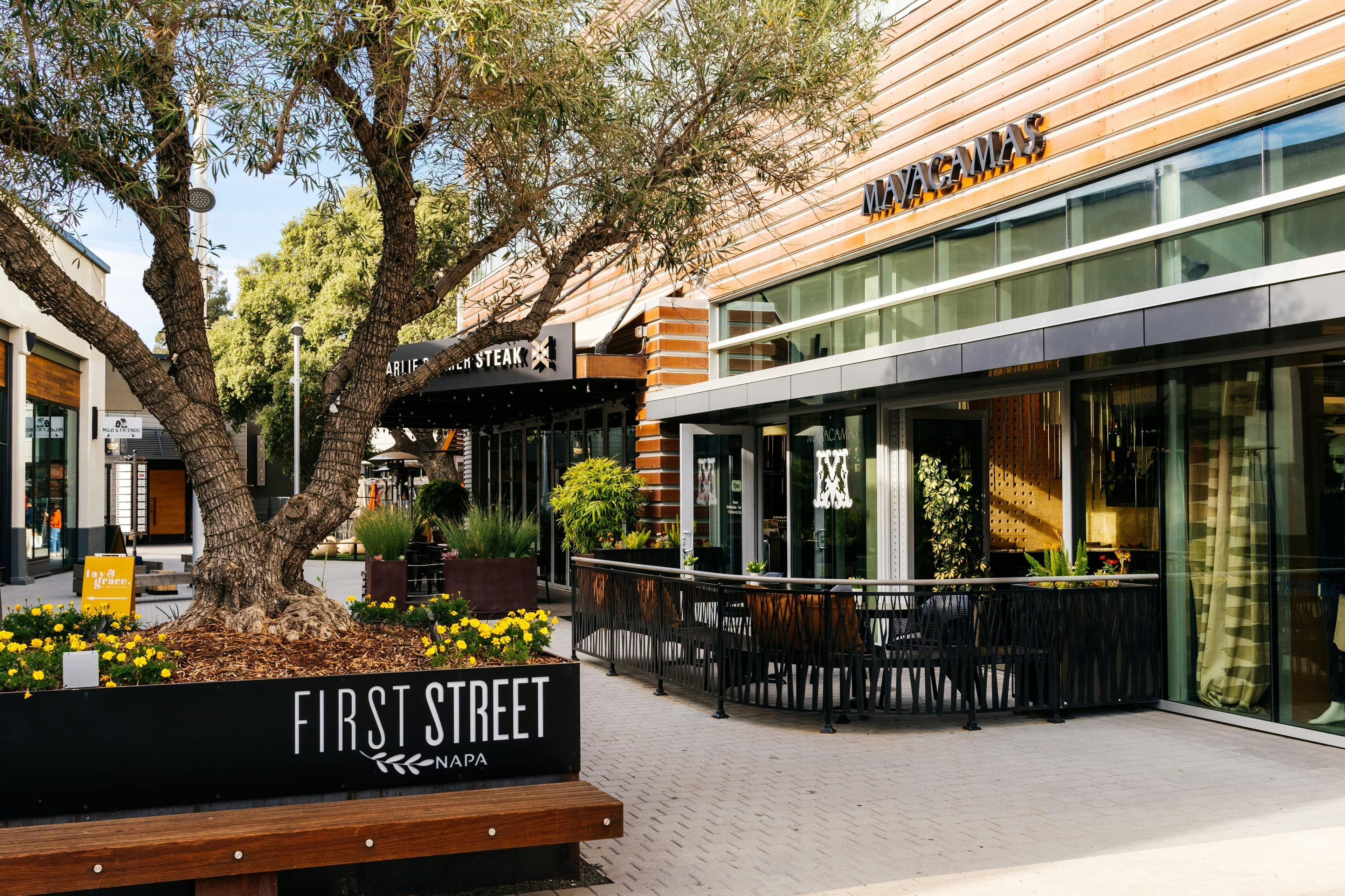 Mayacamas Downtown