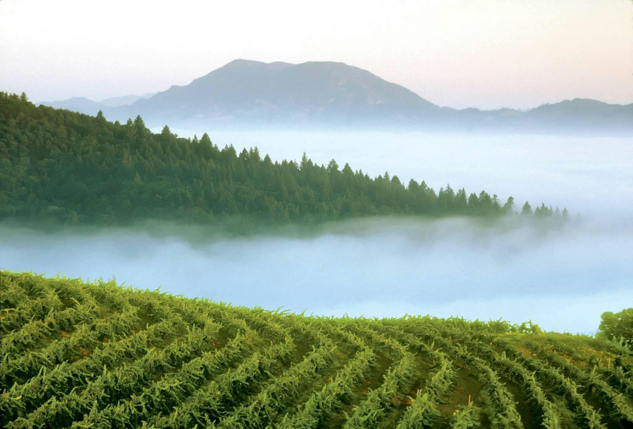 Smith-Madrone Vineyards & Winery