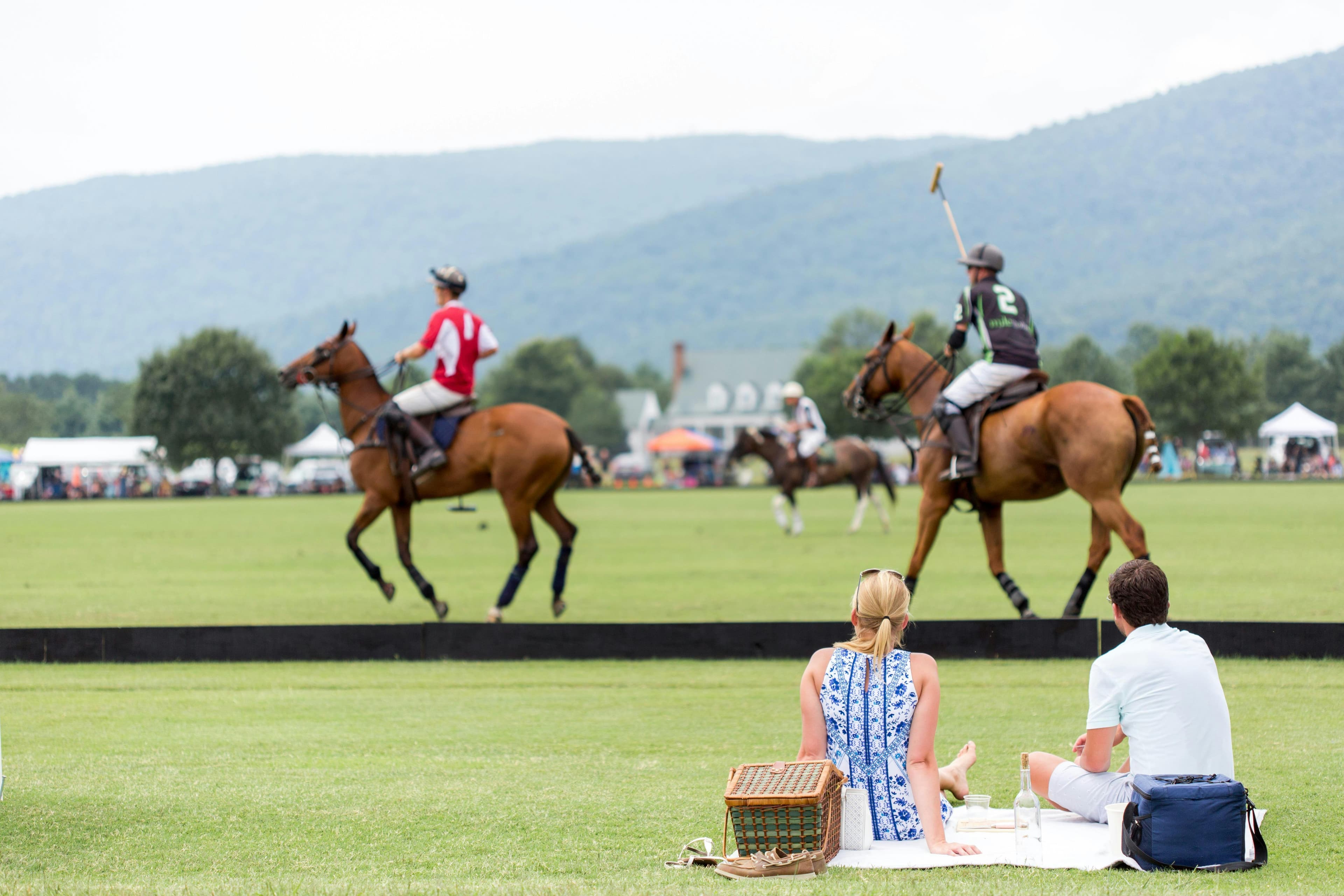 Polo at King Family Vineyards